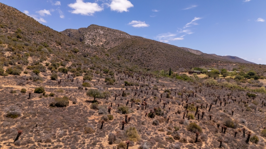 5 Bedroom Property for Sale in Uitenhage Rural Eastern Cape